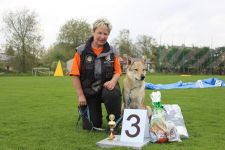 Jmeno C.I.B.+ C.I.E  CHAMP.  Lakota Grey